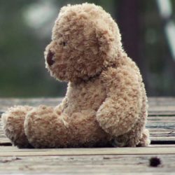 funeral-bear-1-e1678742795285